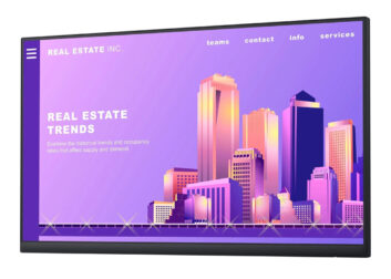 DELL used οθόνη P2422H IPS-LED