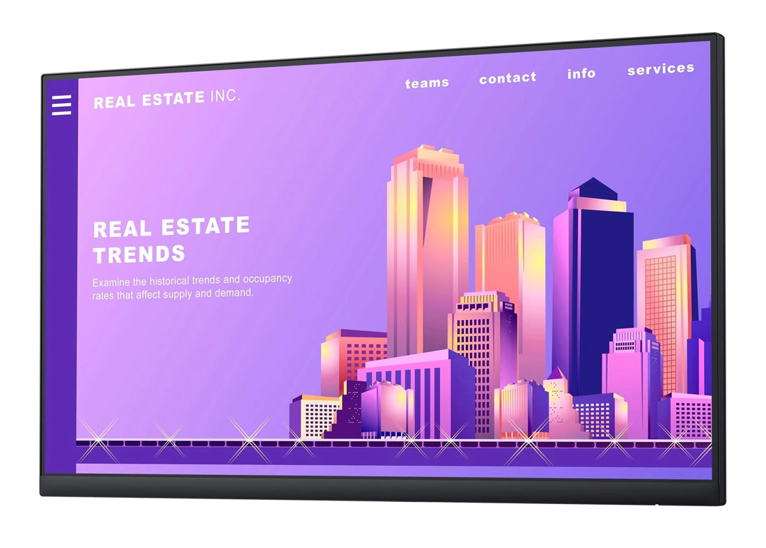 DELL used οθόνη P2422H IPS-LED